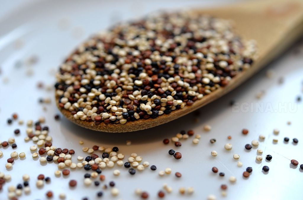 Chia mag