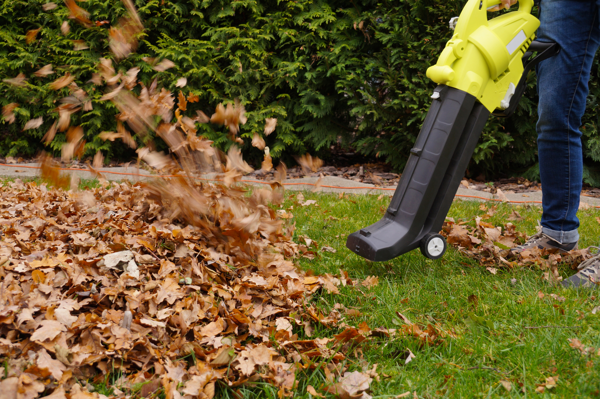 scraping the leaves with the help of a blower. autumn work in th